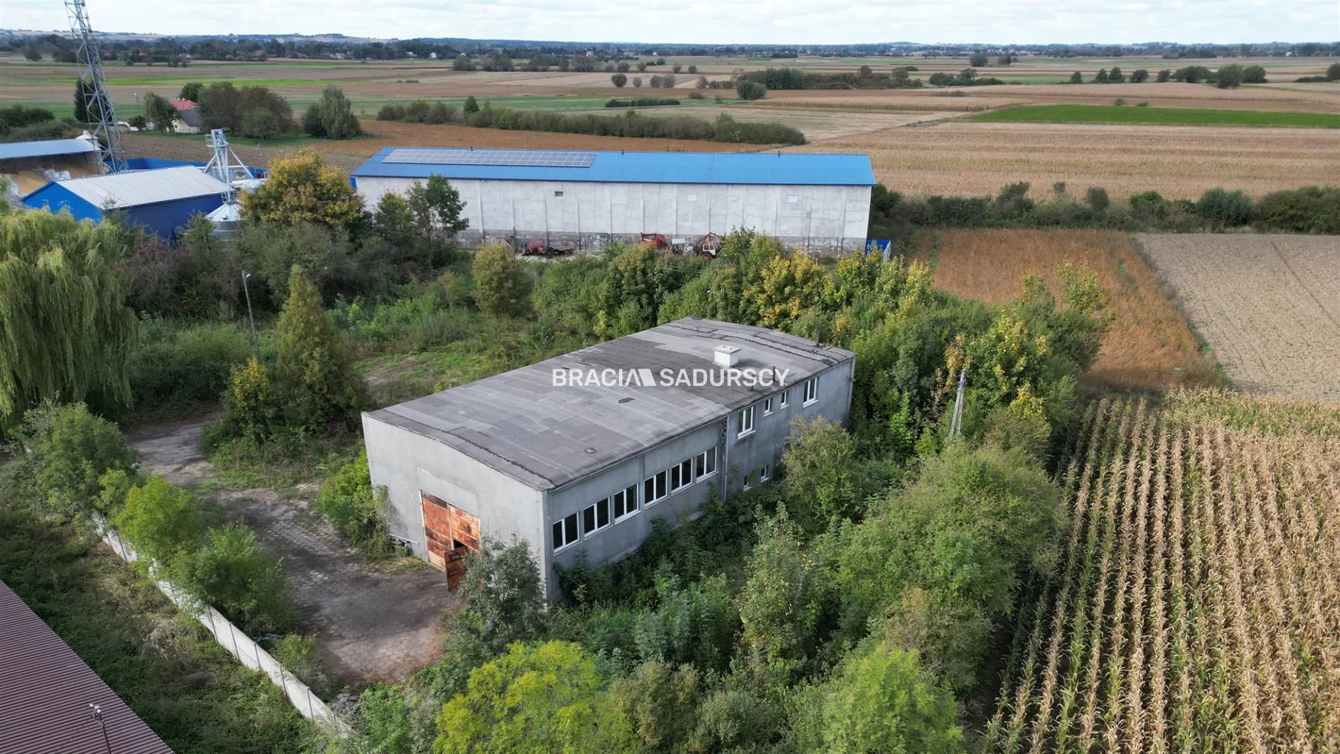 BS5-HS-305987-22 - zdjęcie nr 1