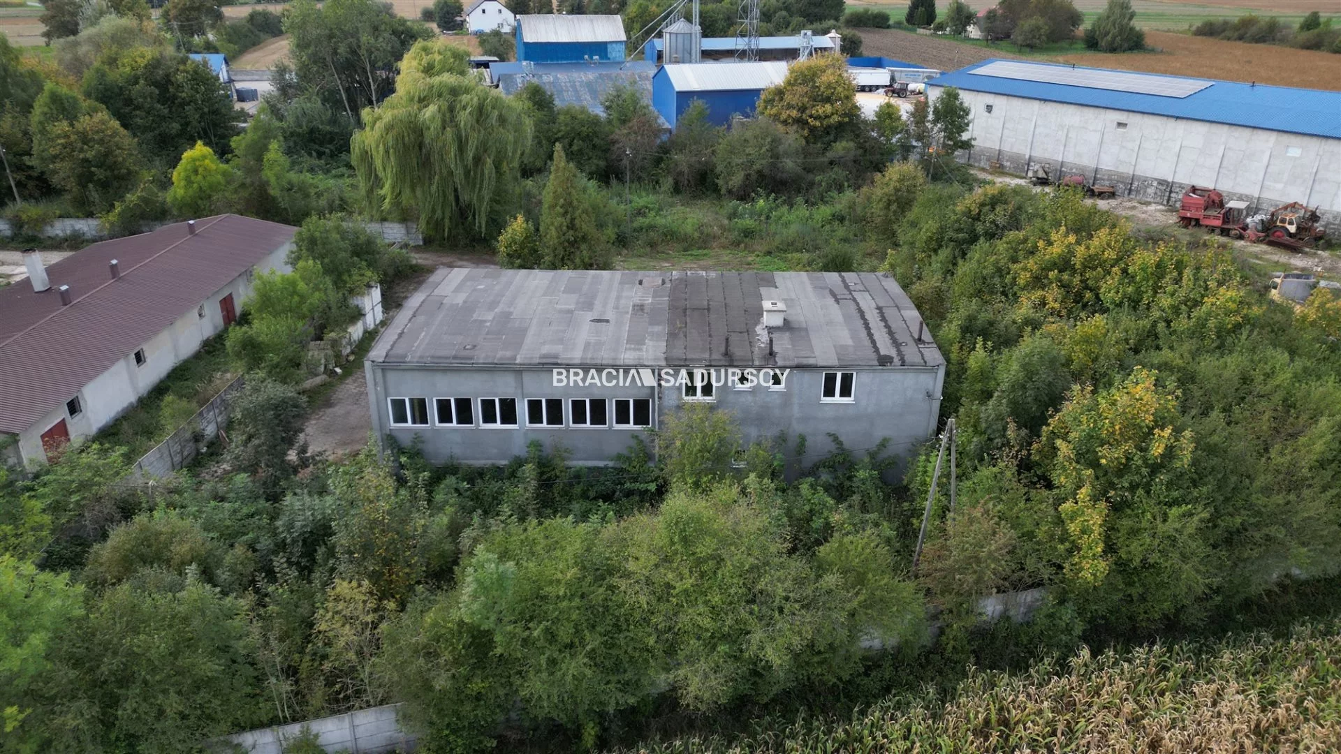 BS5-HS-305987-22 - zdjęcie nr 2