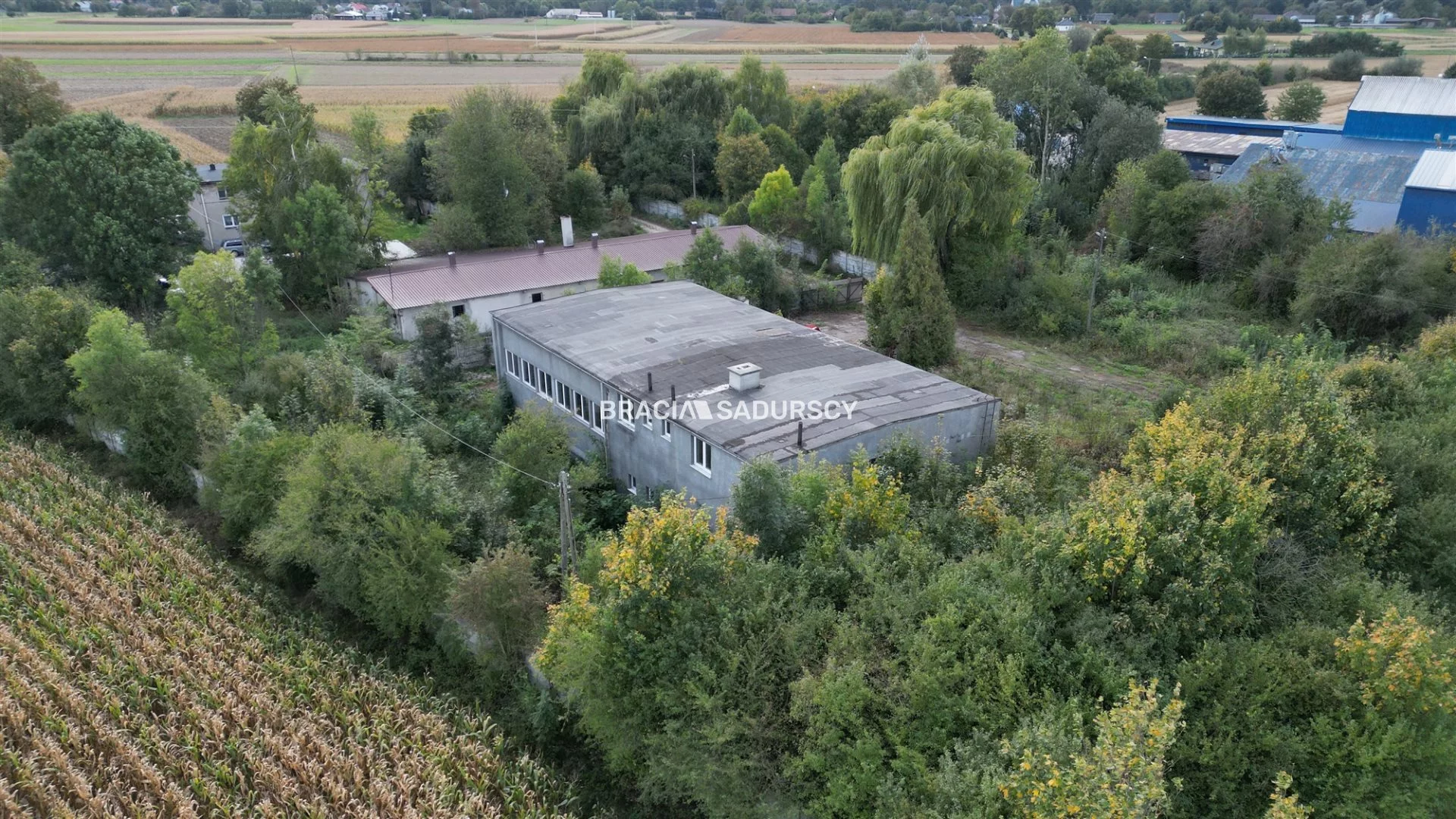 BS5-HS-305987-22 - zdjęcie nr 3