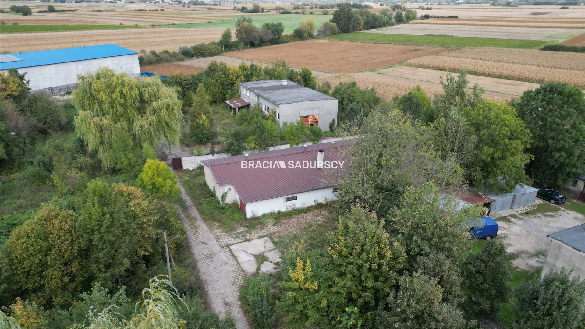BS5-HS-305987-22 - zdjęcie nr 4
