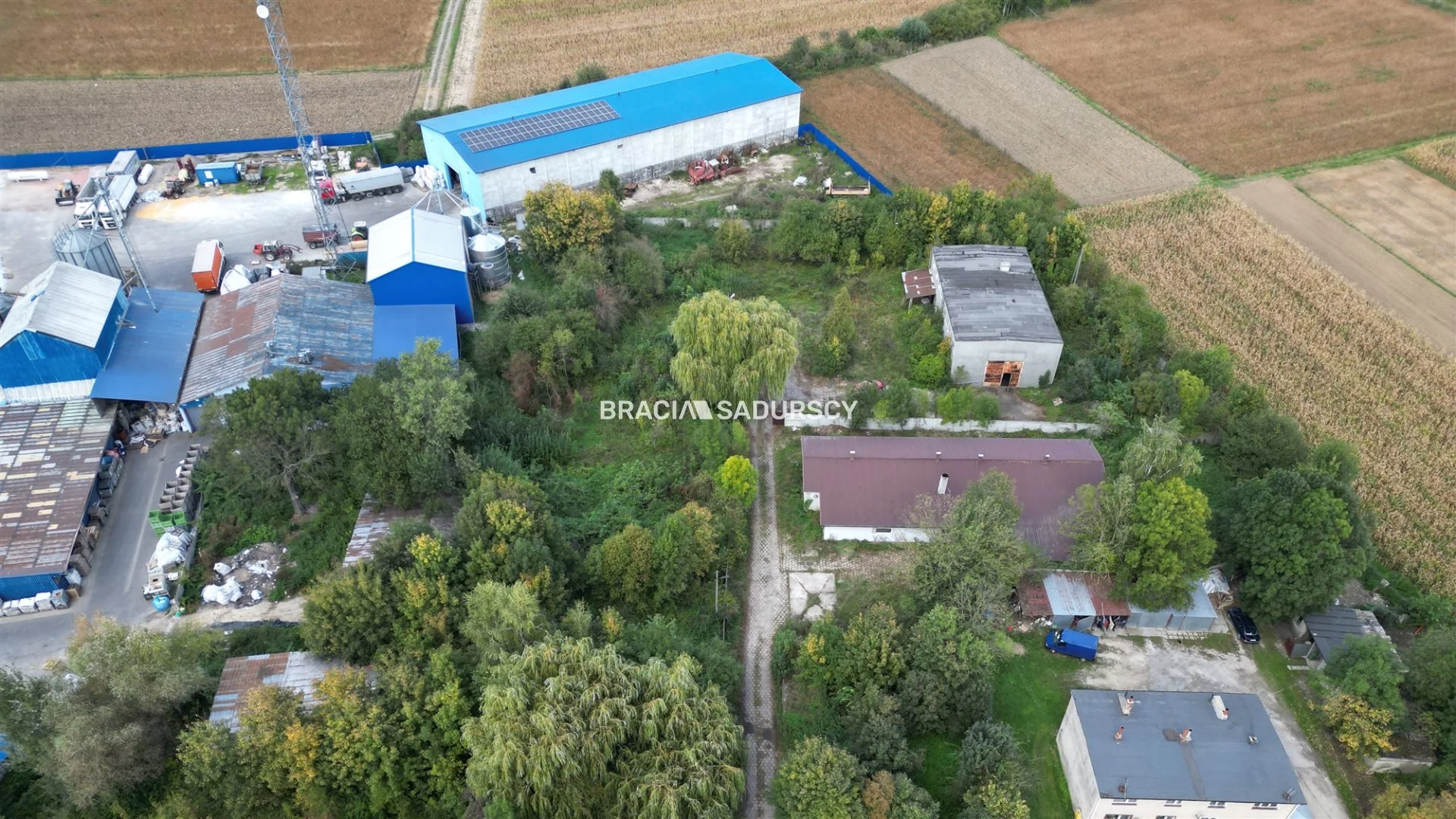 Magazyn 9 146,00 m², oferta nr , BS5-HS-305987-25, Żabno