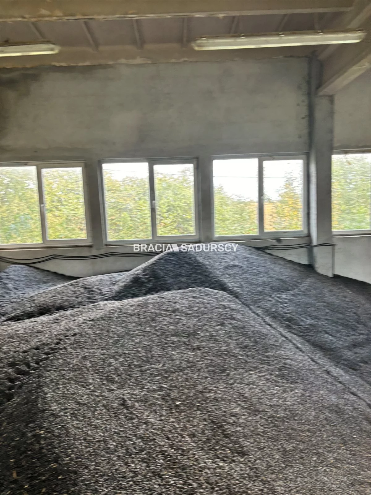 Magazyn 9 146,00 m², oferta nr , BS5-HS-305987-25, Żabno