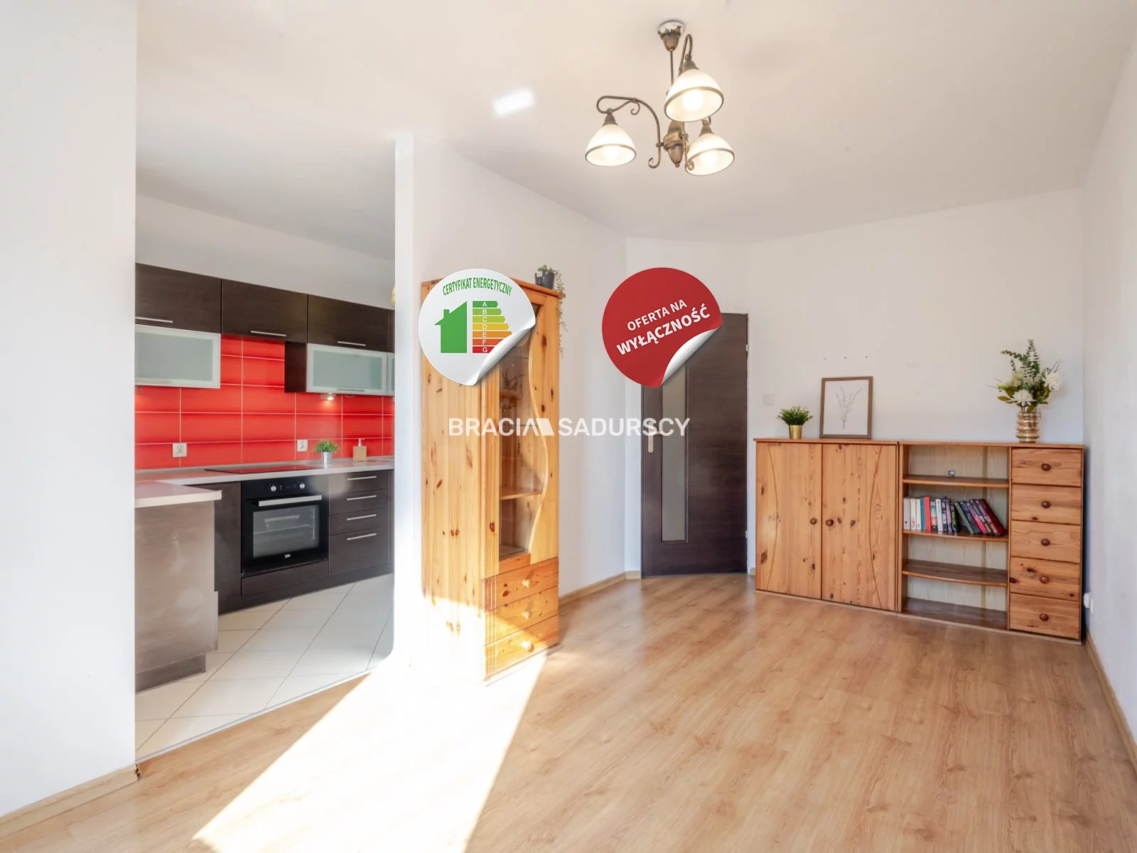 Apartamenty BS1-MS-312378 Kraków Dębniki Drukarska