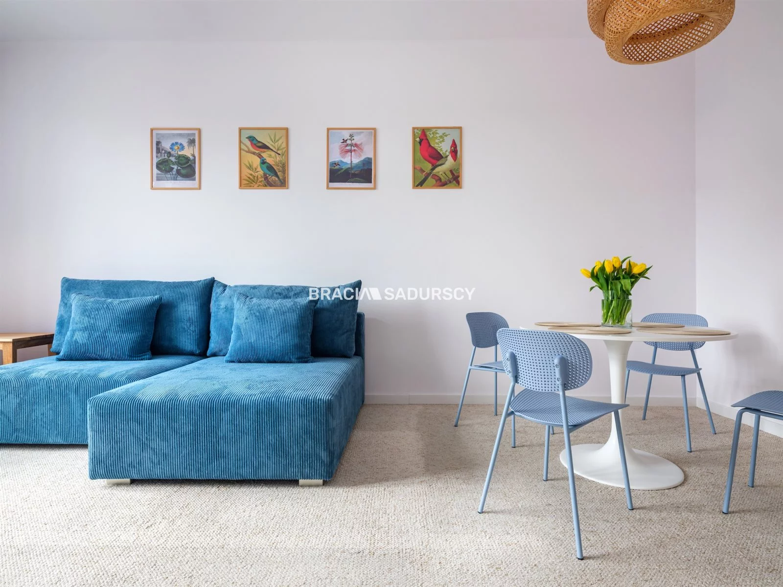 Apartamenty BS3-MS-308605-1 Kraków Zwierzyniec Krasińskiego