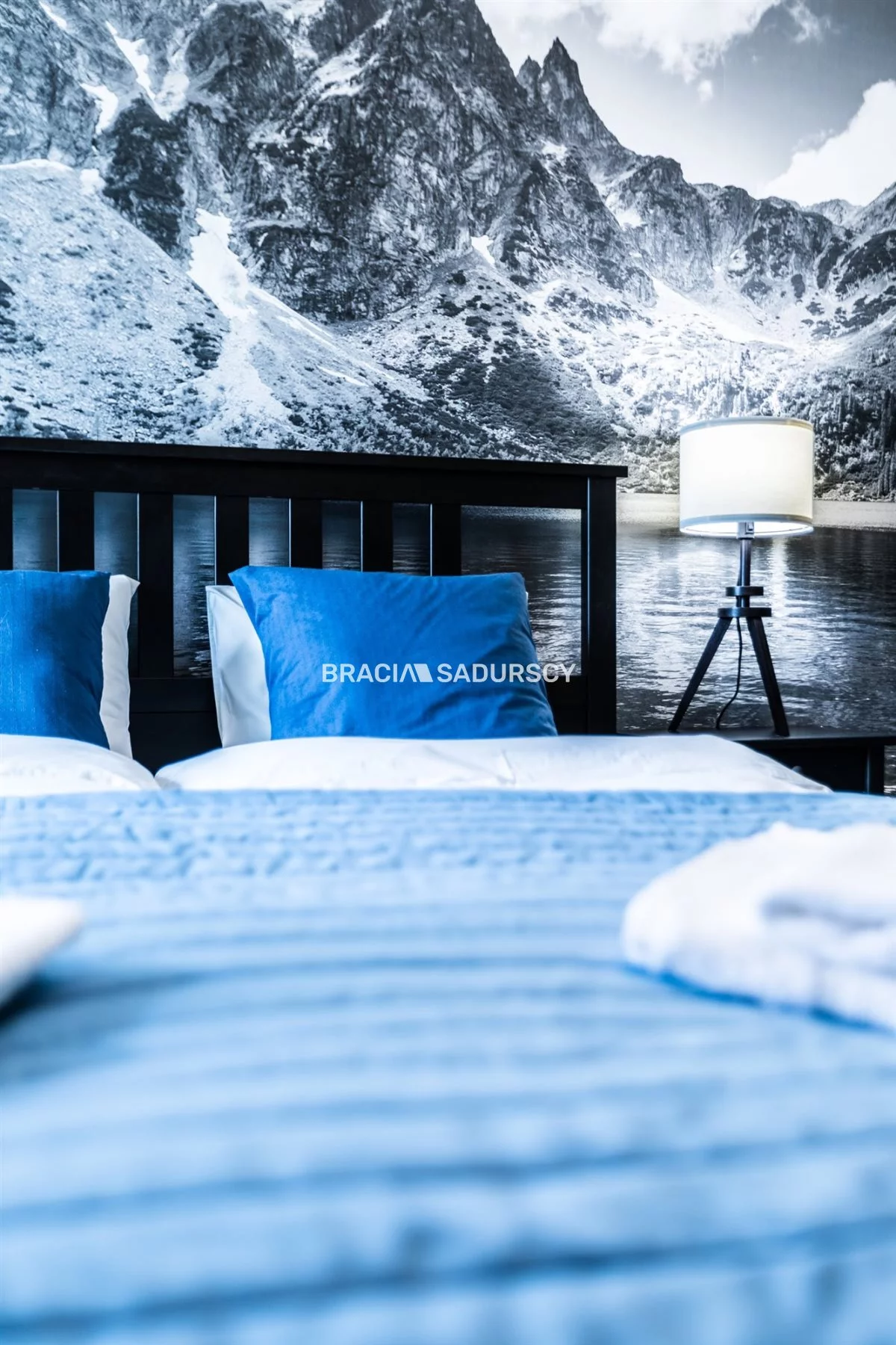 2 pokoje, apartament 55,00 m², piętro 1, oferta nr , BS2-MS-310686-1, Zakopane, Oswalda Balzera