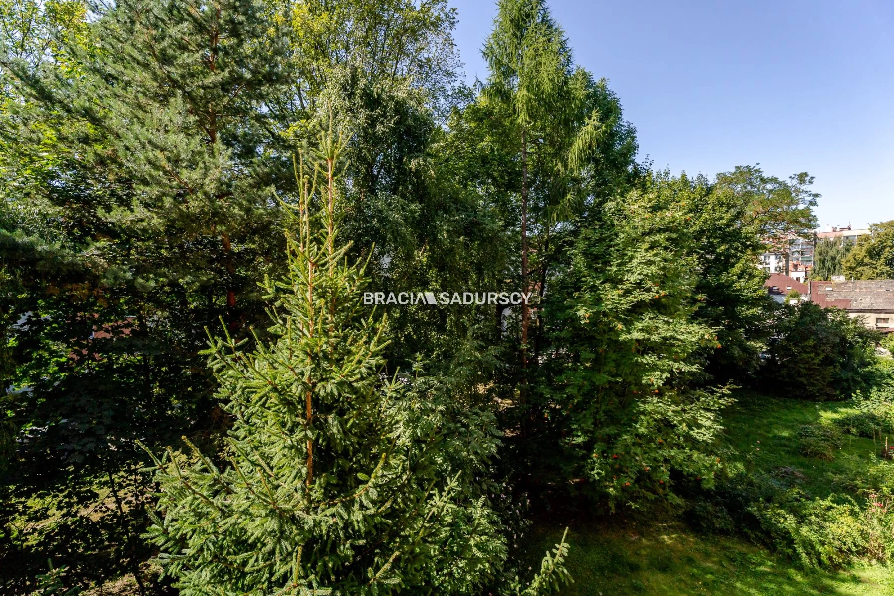 BS1-MS-311152 - zdjęcie nr 2