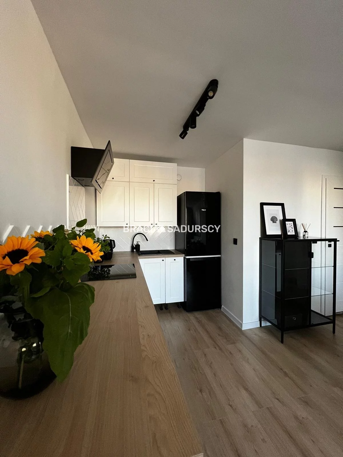 BS3-MW-310324 - zdjęcie nr 3
