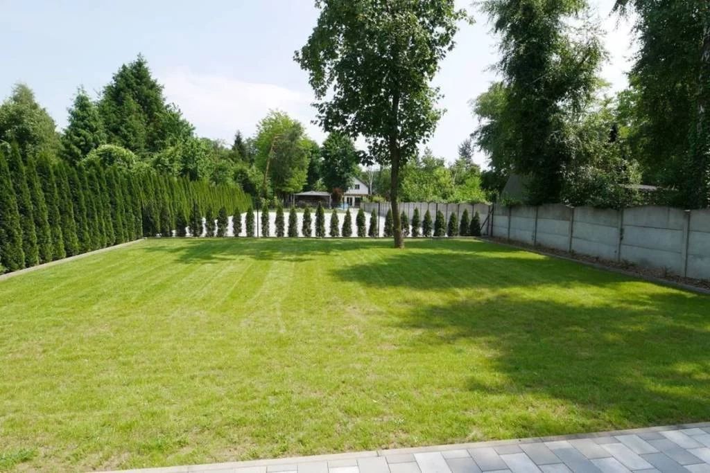 393510235 - zdjęcie nr 4