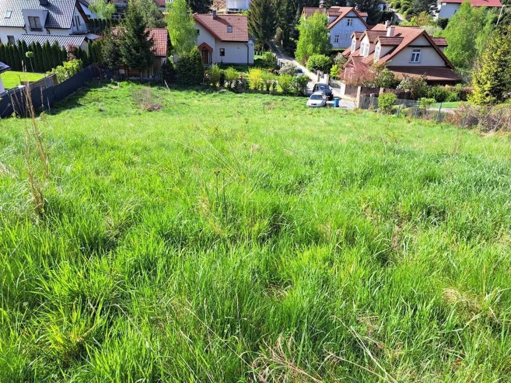 392660235 - zdjęcie nr 2