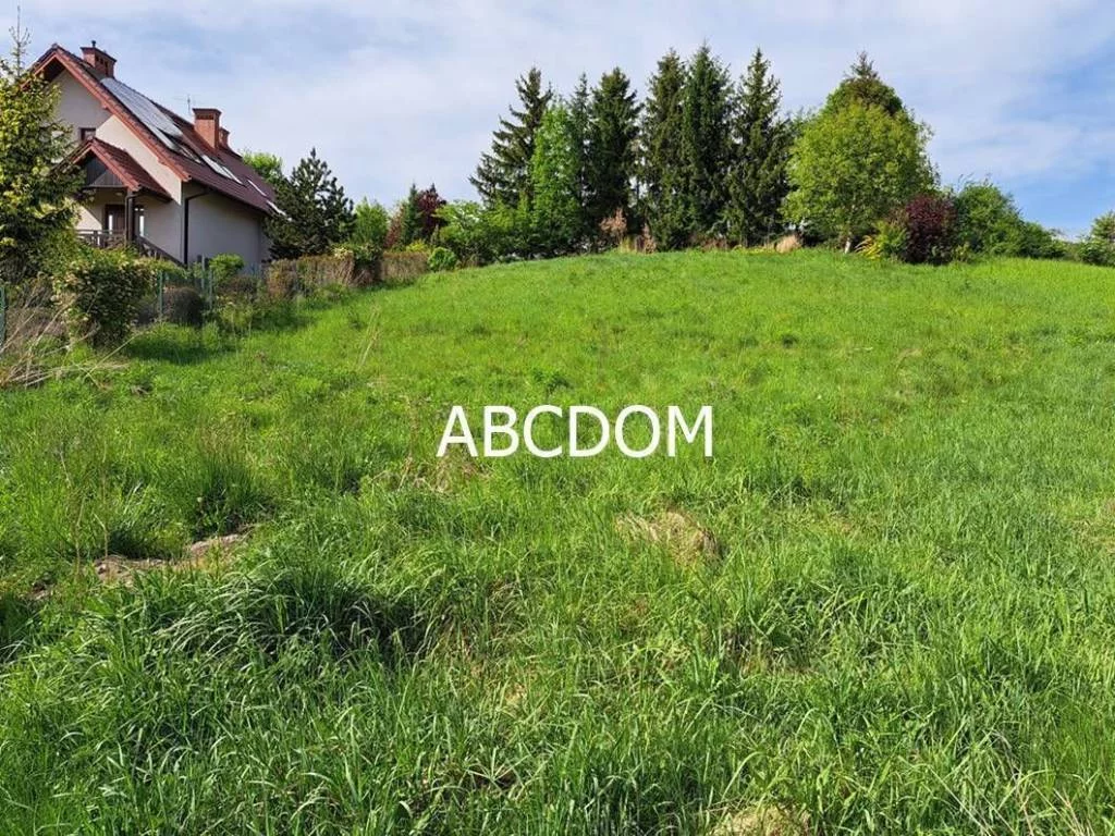 392660235 - zdjęcie nr 4
