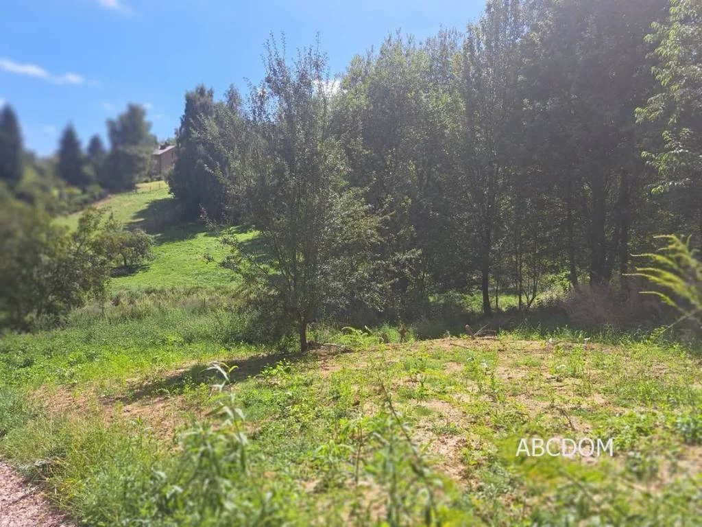Działka 1 300,00 m², oferta nr , 394980235, Nielepice, Nielepice