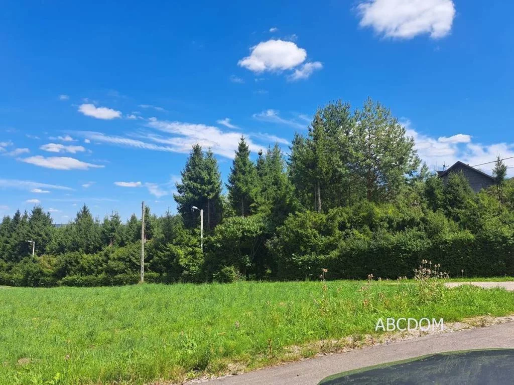 Działka 1 300,00 m², oferta nr , 394980235, Nielepice, Nielepice