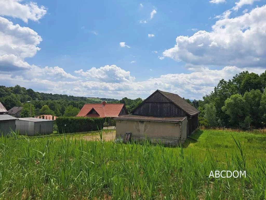 395000235 - zdjęcie nr 5