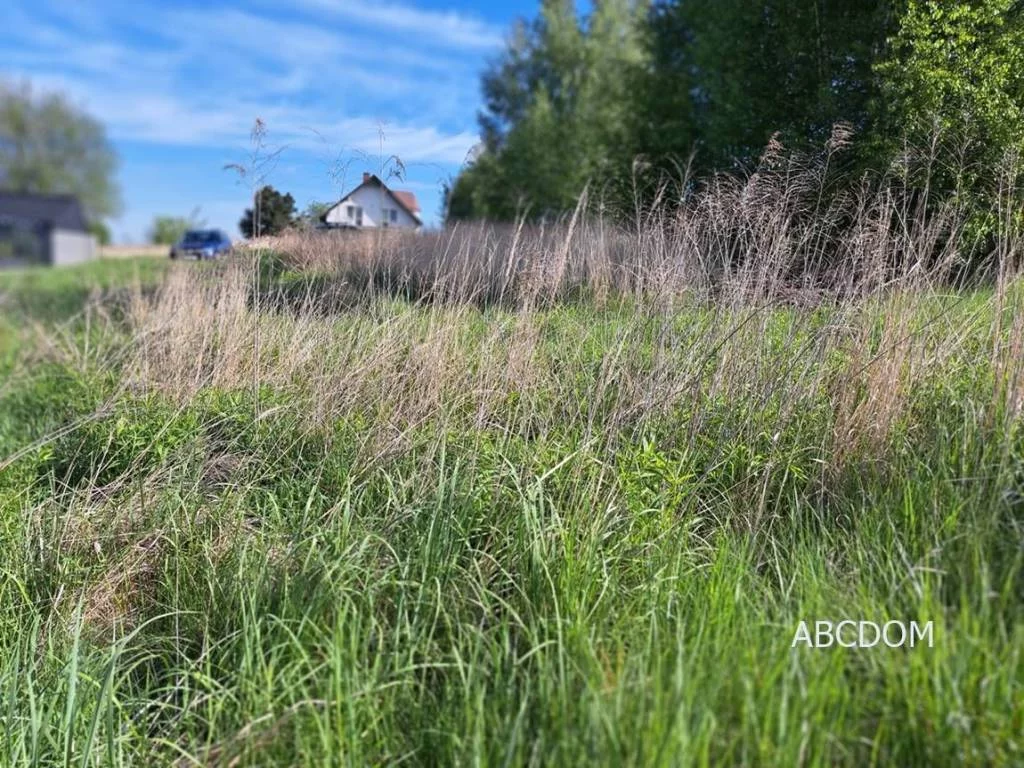 Działka 1 000,00 m², oferta nr , 392670235, Przebieczany, Przebieczany