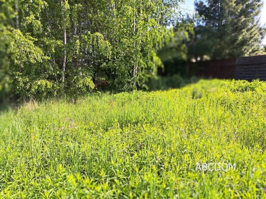 Działka 1 000,00 m², oferta nr , 392670235, Przebieczany, Przebieczany
