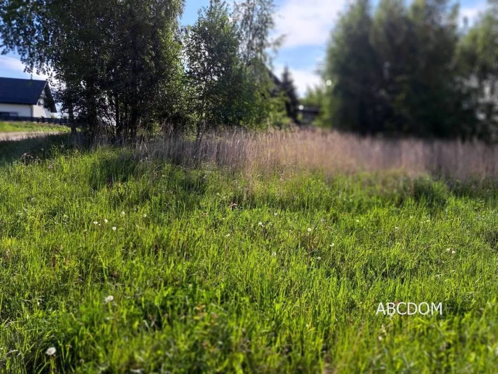 Działka 1 000,00 m², oferta nr , 392670235, Przebieczany, Przebieczany