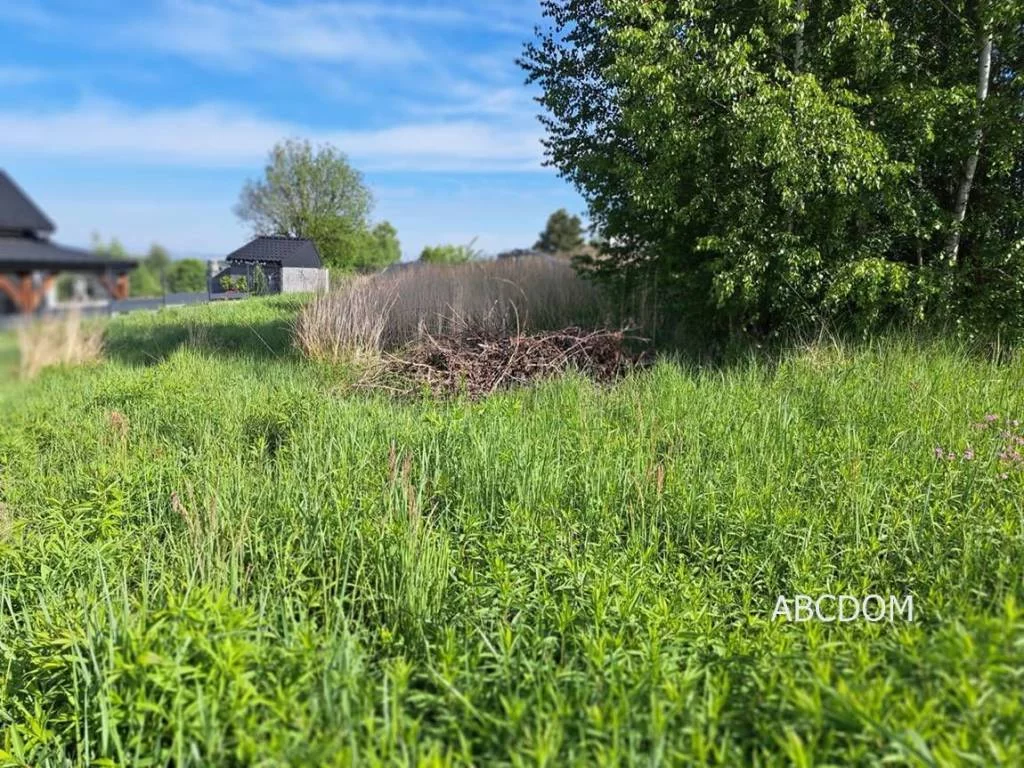 Działka 1 000,00 m², oferta nr , 392670235, Przebieczany, Przebieczany