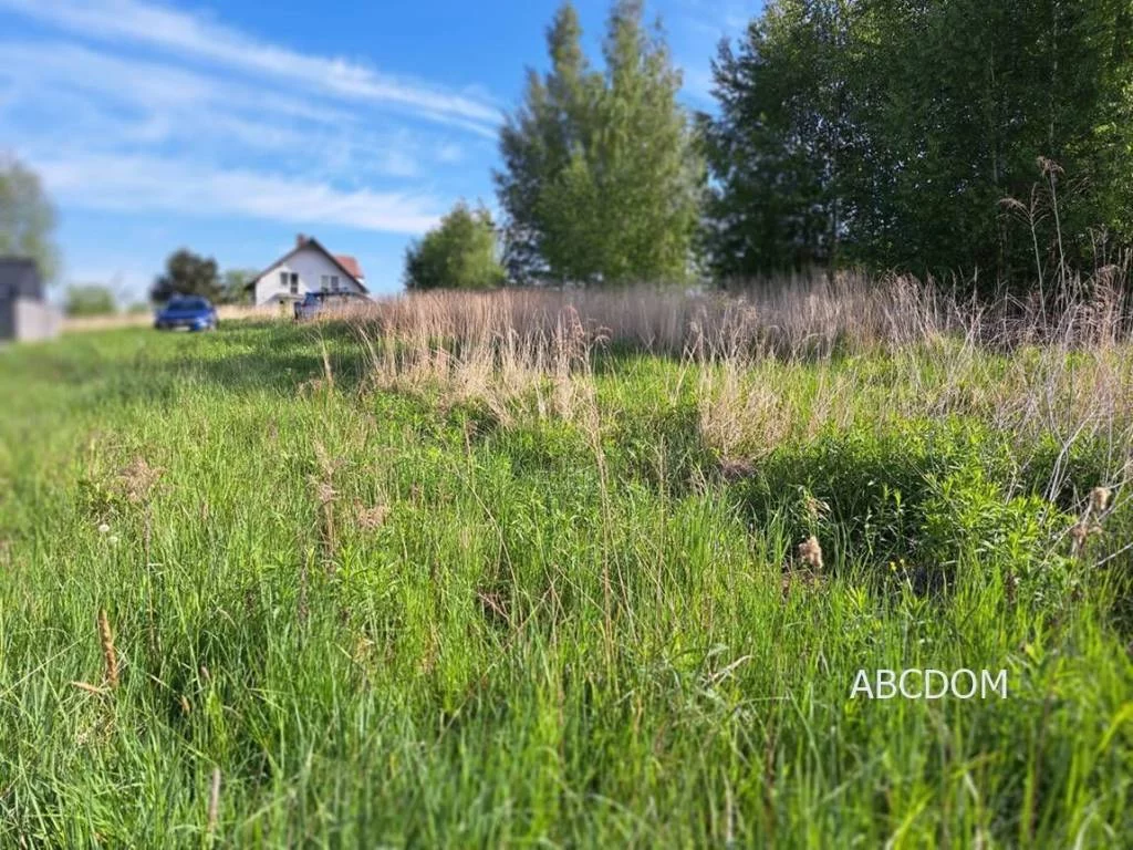 Działka 1 000,00 m², oferta nr , 395440235, Przebieczany, Przebieczany