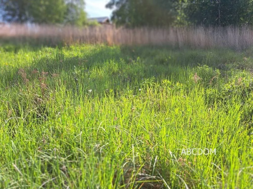 Działka 1 000,00 m², oferta nr , 395440235, Przebieczany, Przebieczany