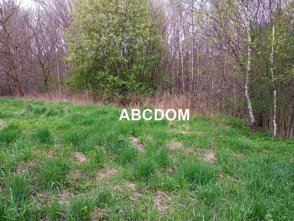 Działka 3 915,00 m², oferta nr , 364760235, Raciborsko, Raciborsko