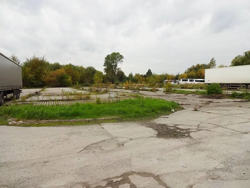 393210235 - zdjęcie nr 0