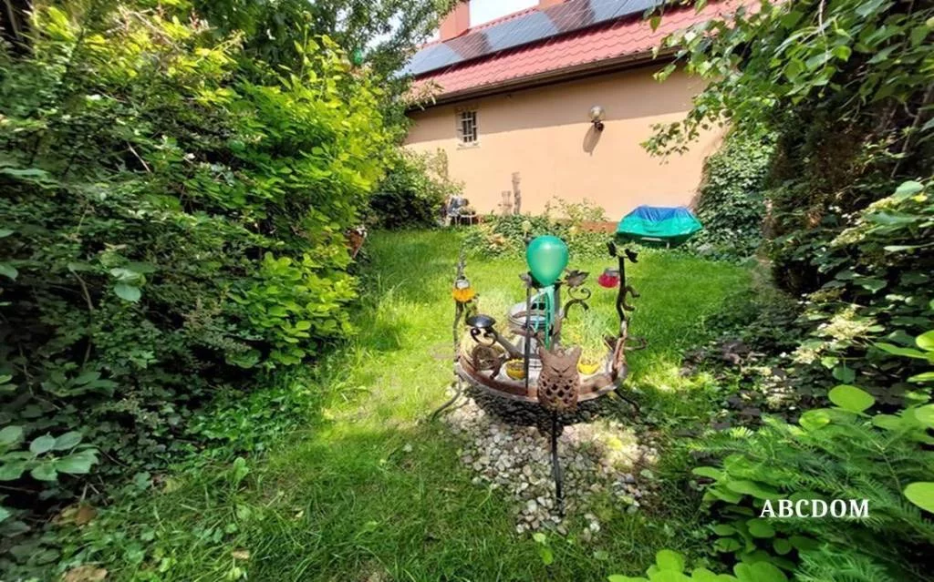 393560235 - zdjęcie nr 2