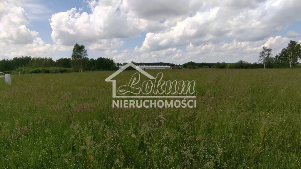 Działka 1 245,00 m², oferta nr , LOK21532, Niedźwiedź