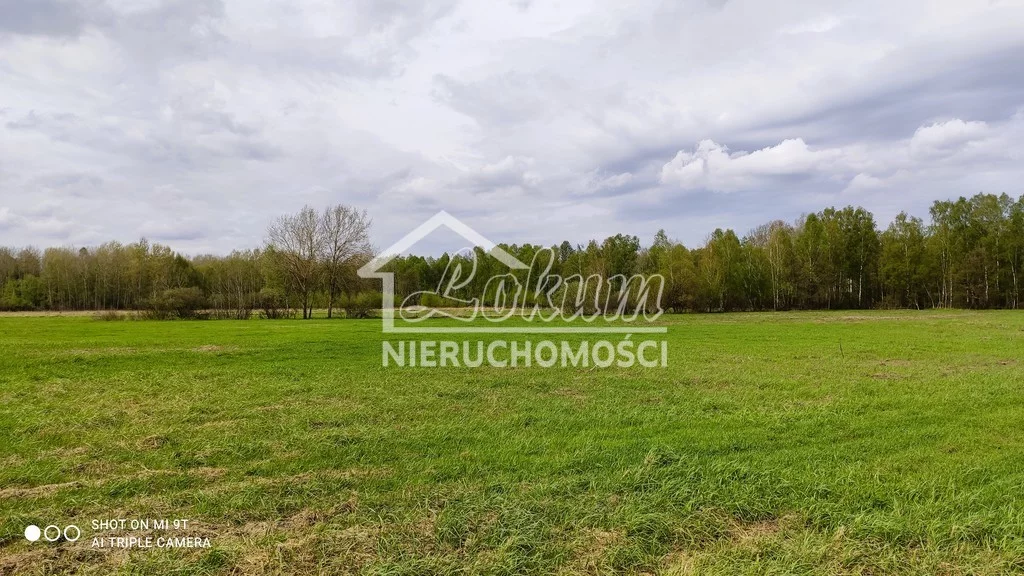Działka 80 000,00 m², oferta nr , LOK21636, Niedźwiedź