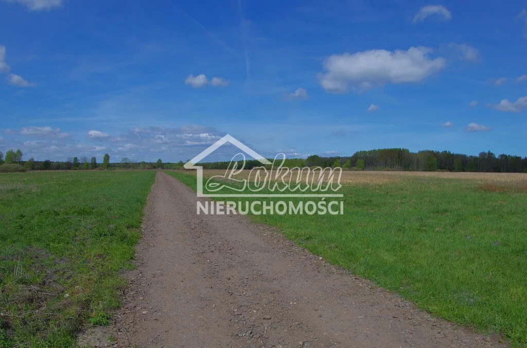 Apartamenty LOK21689 Niedźwiedź