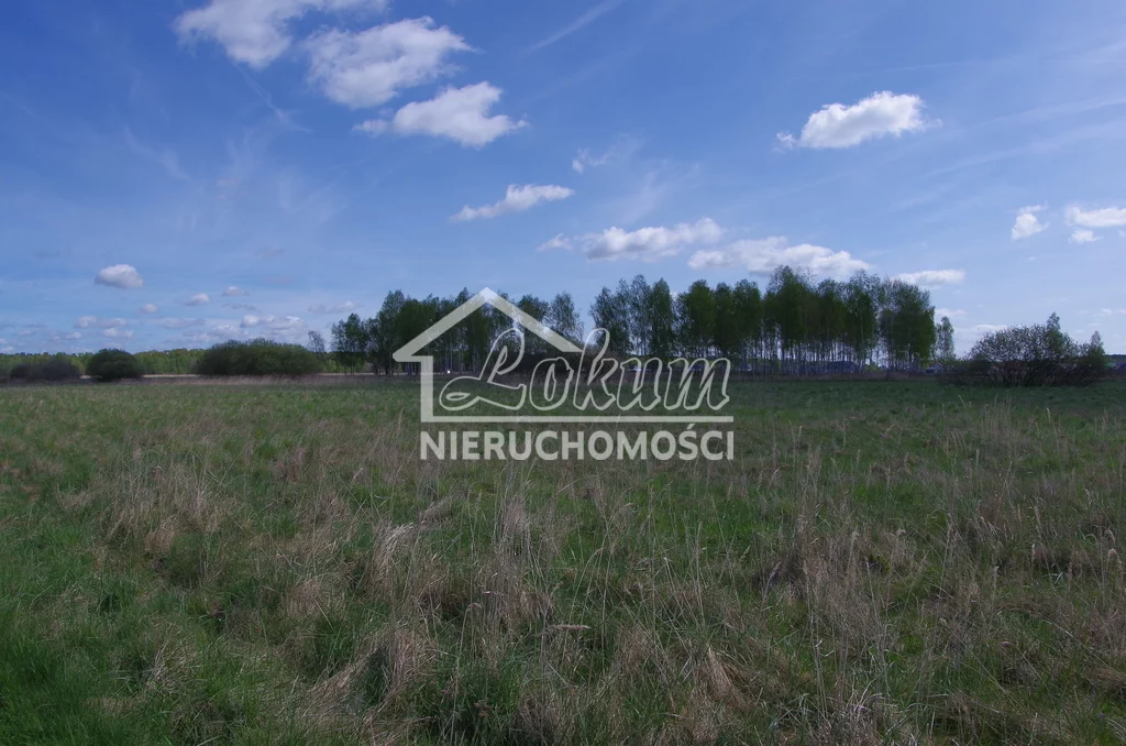 LOK21689 - zdjęcie nr 0