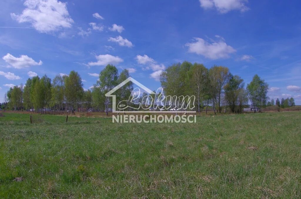 Apartamenty LOK21696 Niedźwiedź