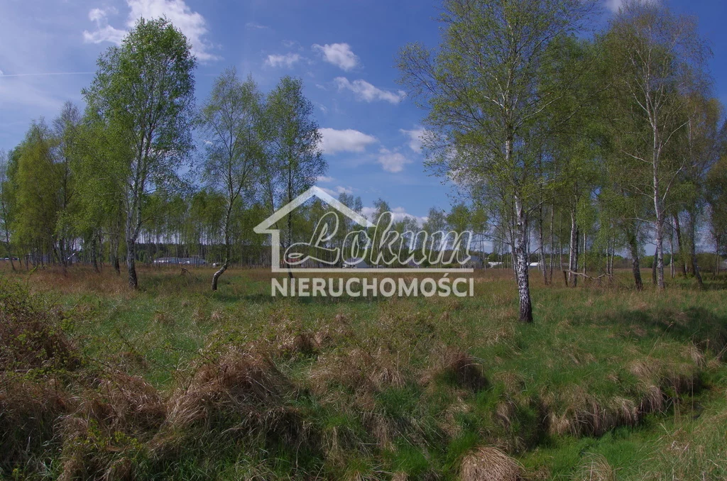 Działka 2 103,00 m², oferta nr , LOK21696, Niedźwiedź