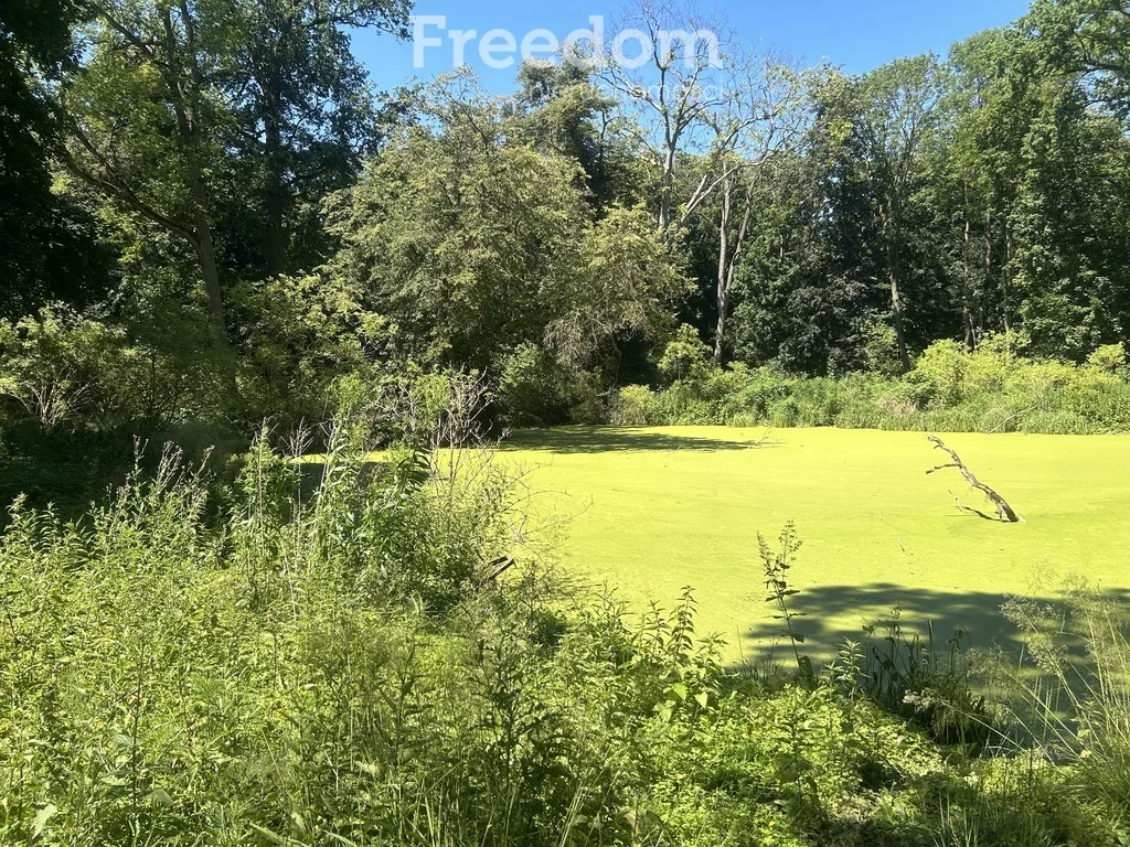 Dom 500,00 m², oferta nr , 10923/3685/ODS, Drzązgowo