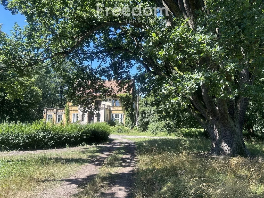 Dom 500,00 m², oferta nr , 10923/3685/ODS, Drzązgowo