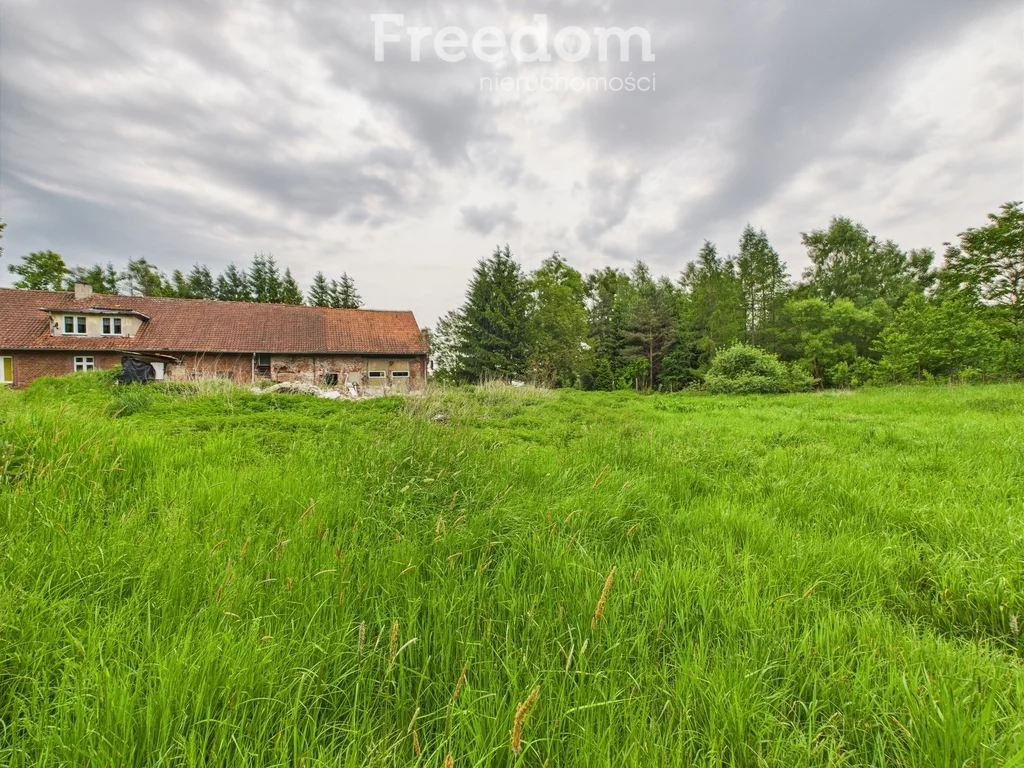 Dom 200,00 m², oferta nr , 16275/3685/ODS, Borzynowo