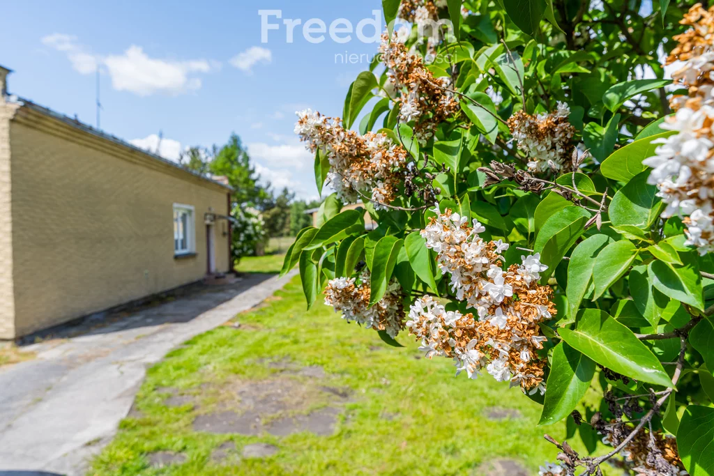 Dom 77,00 m², oferta nr , 16087/3685/ODS, Chynów