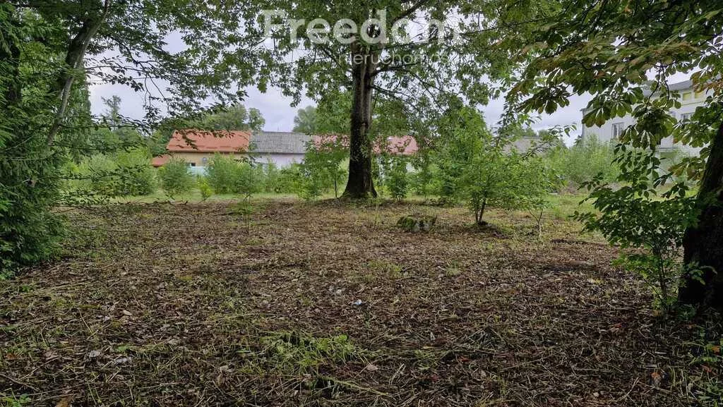 15749/3685/ODS - zdjęcie nr 4