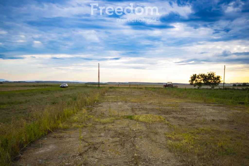Dom 215,00 m², oferta nr , 11501/3685/ODS, Chróścina