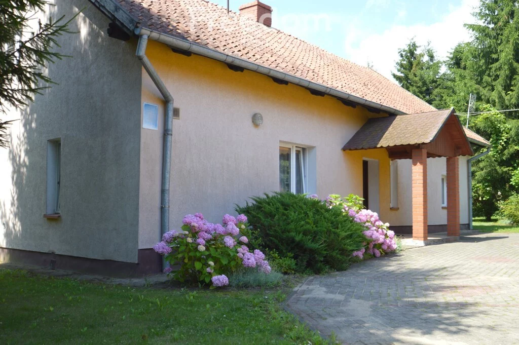 Domy 15963/3685/ODS Dąbrowa