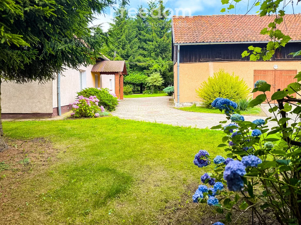 Dom 144,00 m², oferta nr , 15963/3685/ODS, Dąbrowa