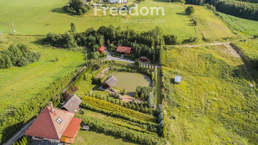 16142/3685/ODS - zdjęcie nr 3