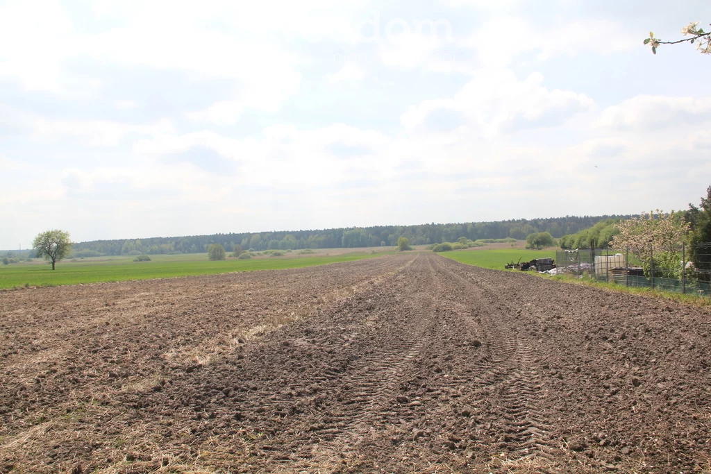 15467/3685/ODS - zdjęcie nr 3