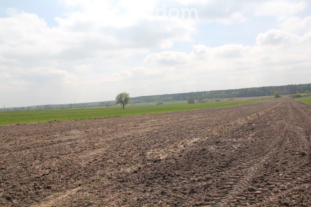 15467/3685/ODS - zdjęcie nr 4