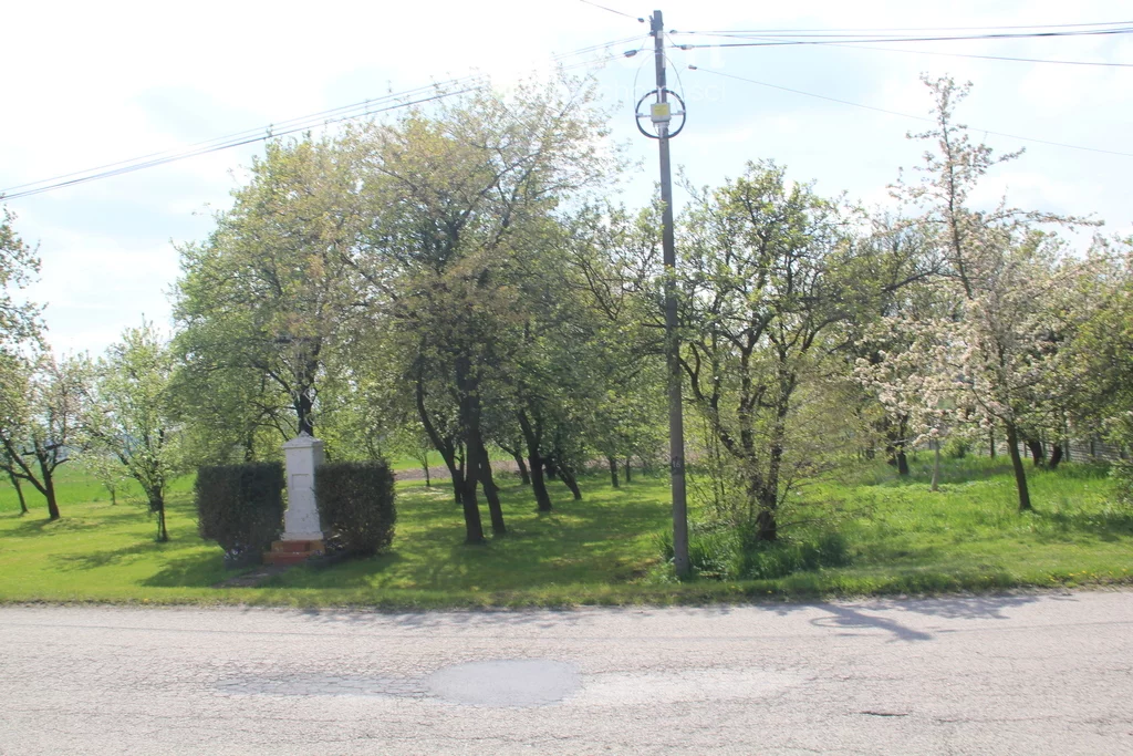 Dom 100,00 m², oferta nr , 15467/3685/ODS, Jeżów
