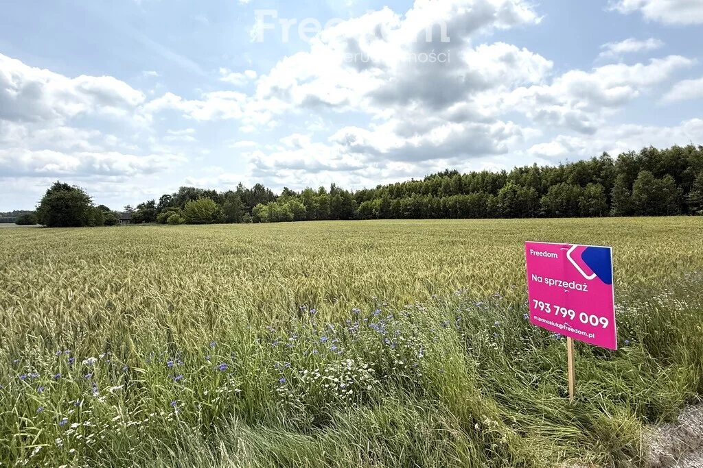 Dom 78,00 m², oferta nr , 15507/3685/ODS, Kopytów