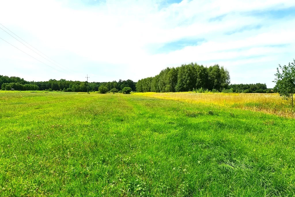 Dom 60,00 m², oferta nr , 12799/3685/ODS, Nowe Groszki