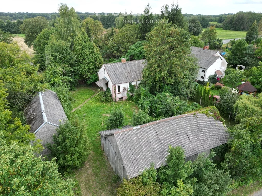 15881/3685/ODS - zdjęcie nr 2