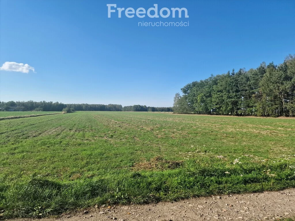Dom 80,00 m², oferta nr , 16323/3685/ODS, Ortel Królewski Drugi