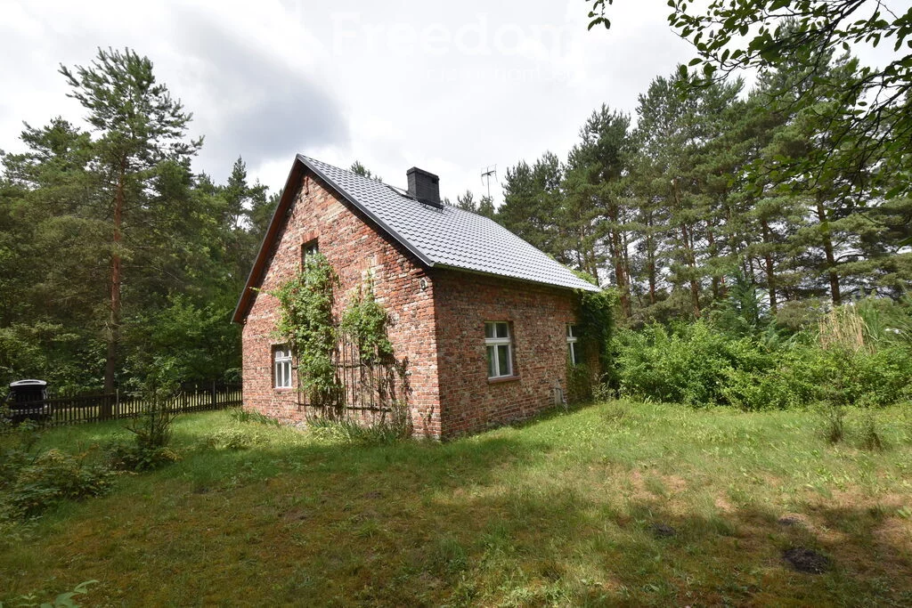 15833/3685/ODS - zdjęcie nr 2