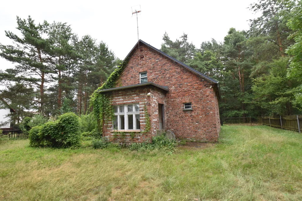 15833/3685/ODS - zdjęcie nr 3